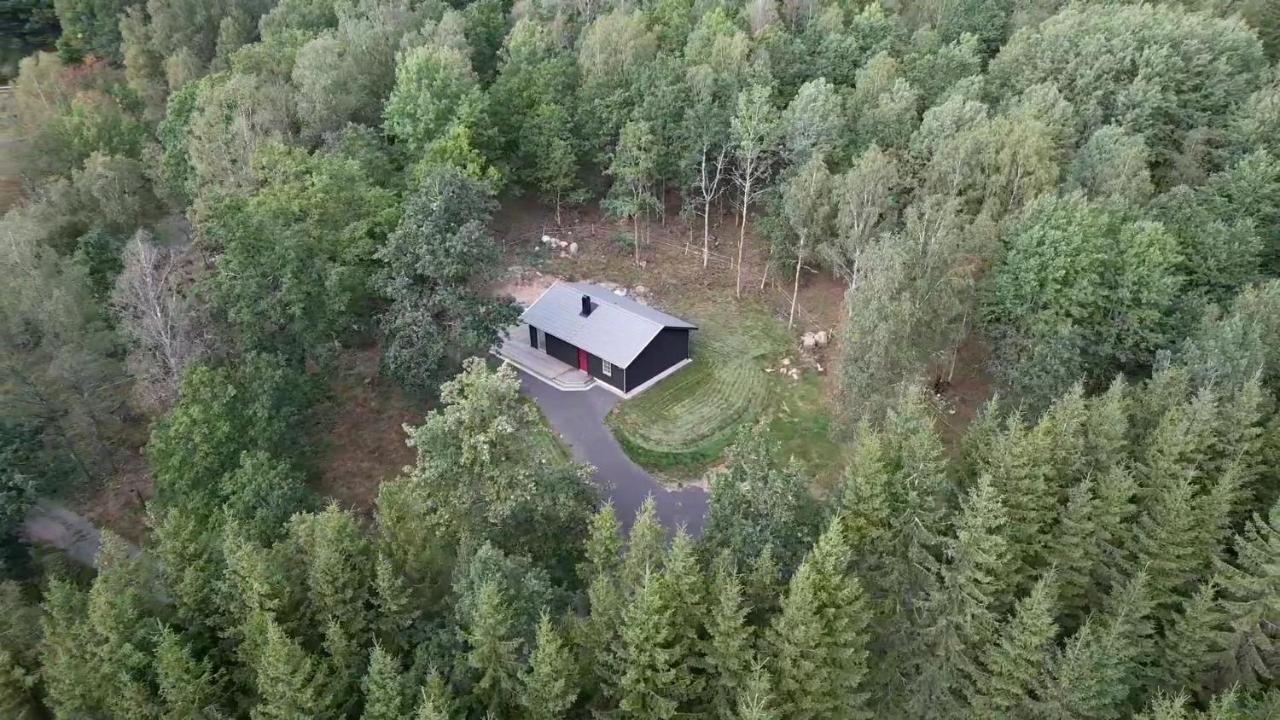 Stuga Alaryd Скиллингарюд Экстерьер фото